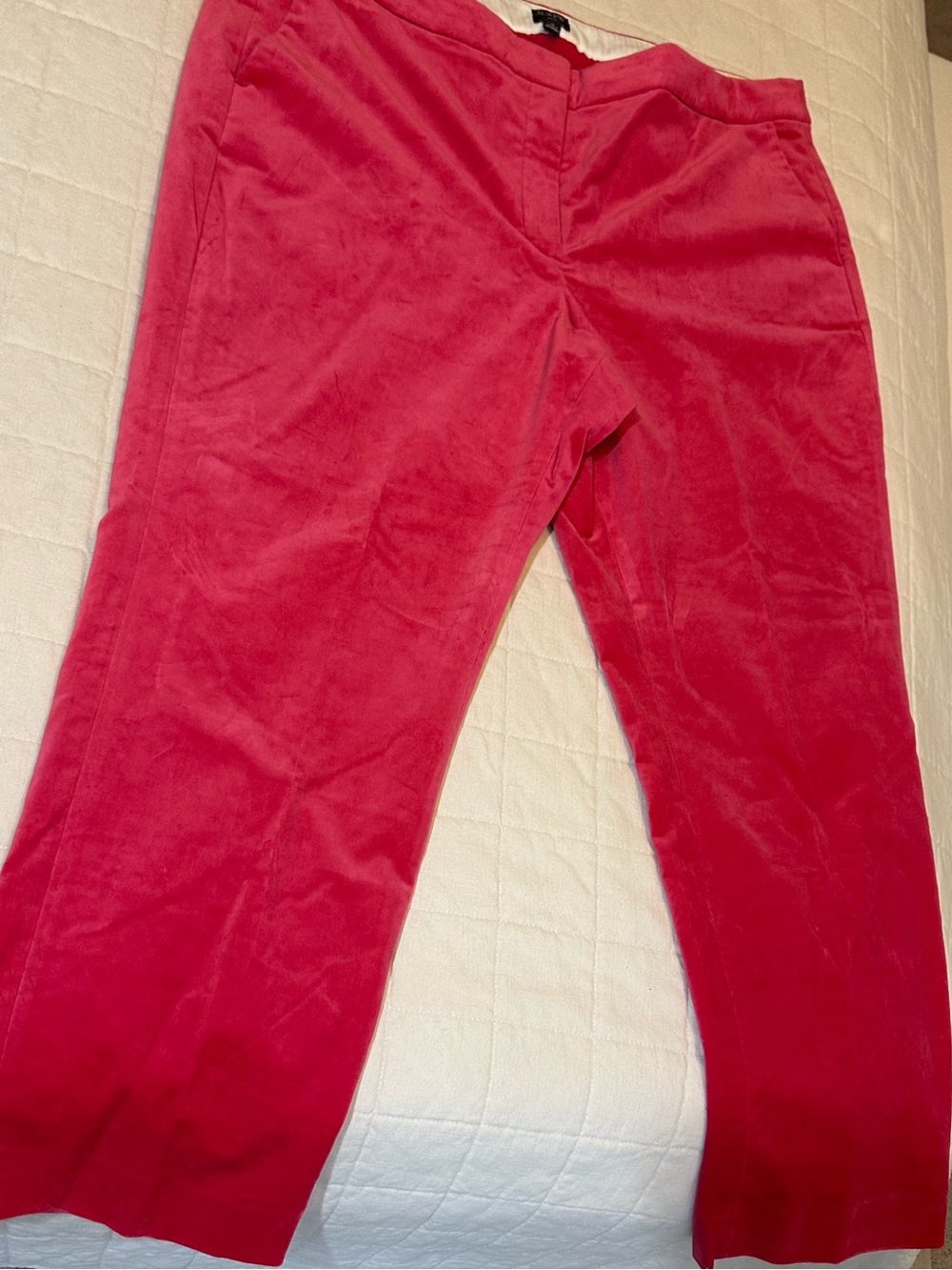 J. Crew Bright Pink velour Pants 18